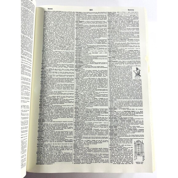 Webster's Third New International Dictionary Unabridged G&C Merriam 1971 - Picture 6 of 11